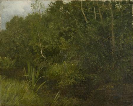Landscape with a pond, unknow artist